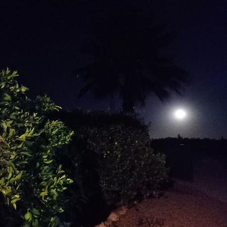 La Buganvilla, Descanso Entre Olivares Hornachuelos Εξωτερικό φωτογραφία