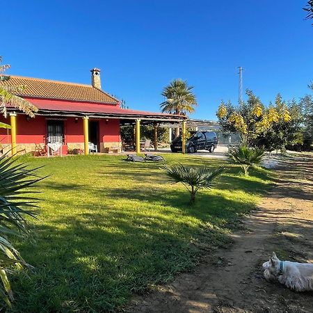 La Buganvilla, Descanso Entre Olivares Hornachuelos Εξωτερικό φωτογραφία