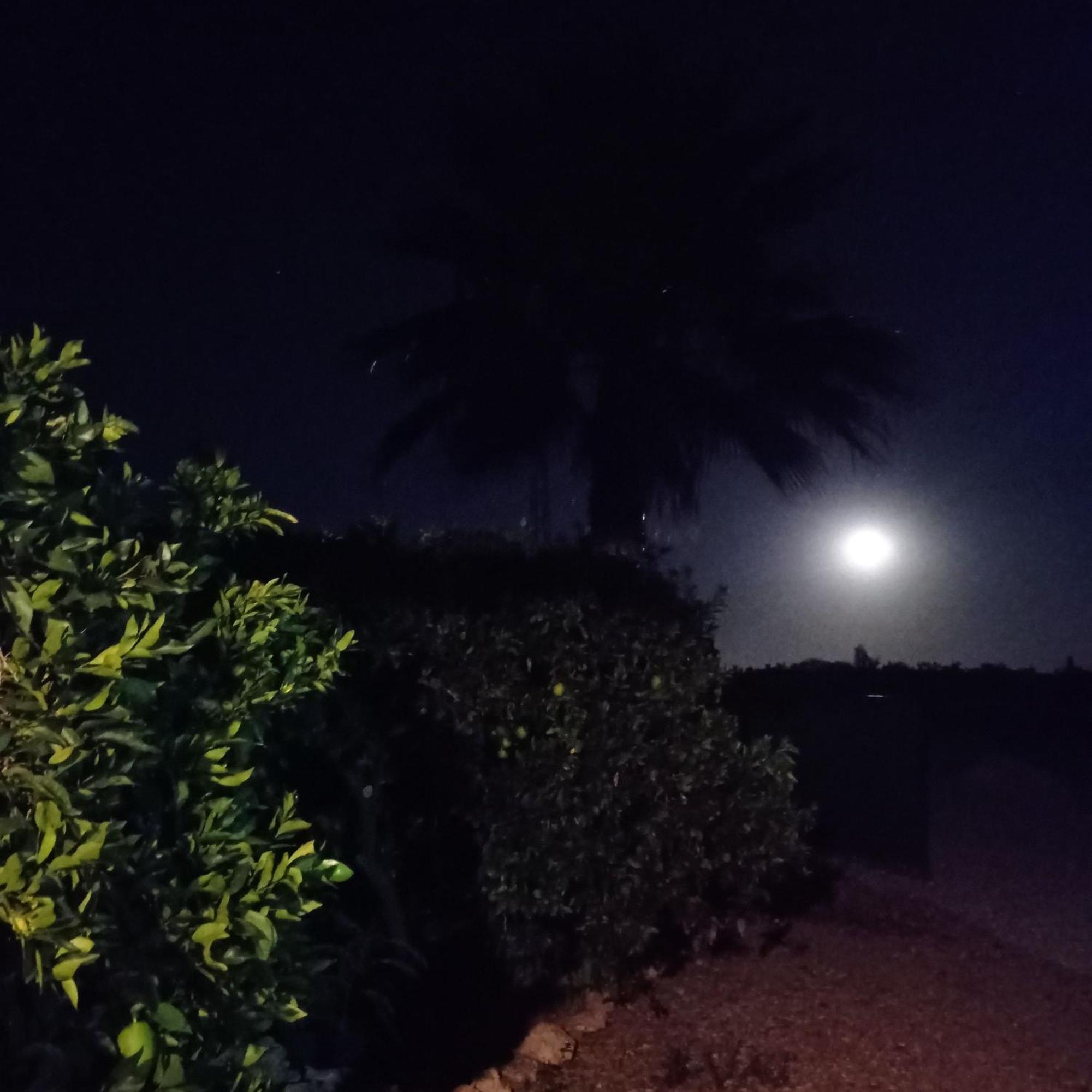 La Buganvilla, Descanso Entre Olivares Hornachuelos Εξωτερικό φωτογραφία