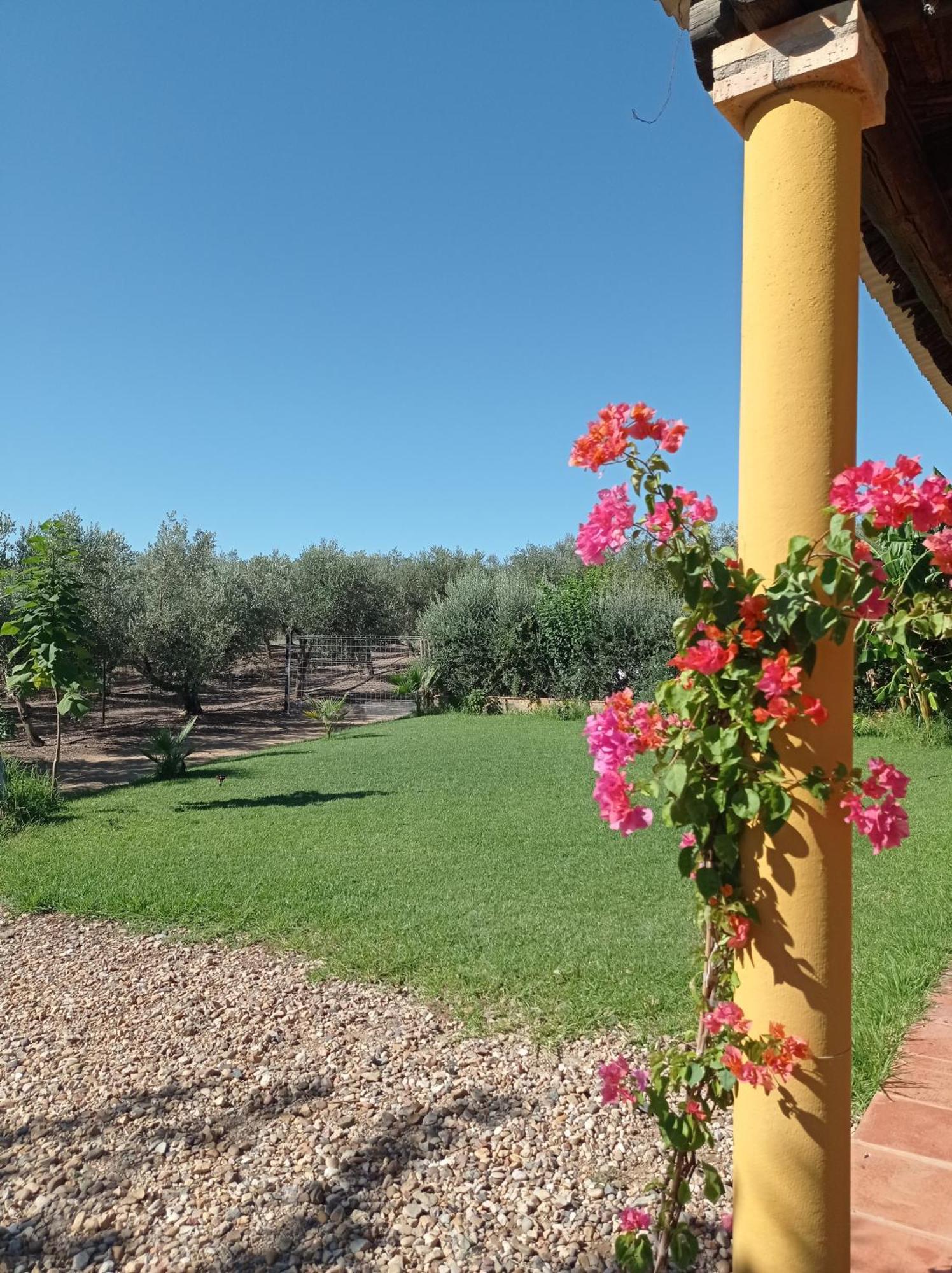 La Buganvilla, Descanso Entre Olivares Hornachuelos Εξωτερικό φωτογραφία
